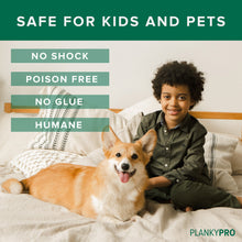 Load image into Gallery viewer, Walk The Plank Mice Trap SET 1 v2 - Includes bucket lid and Tunnel